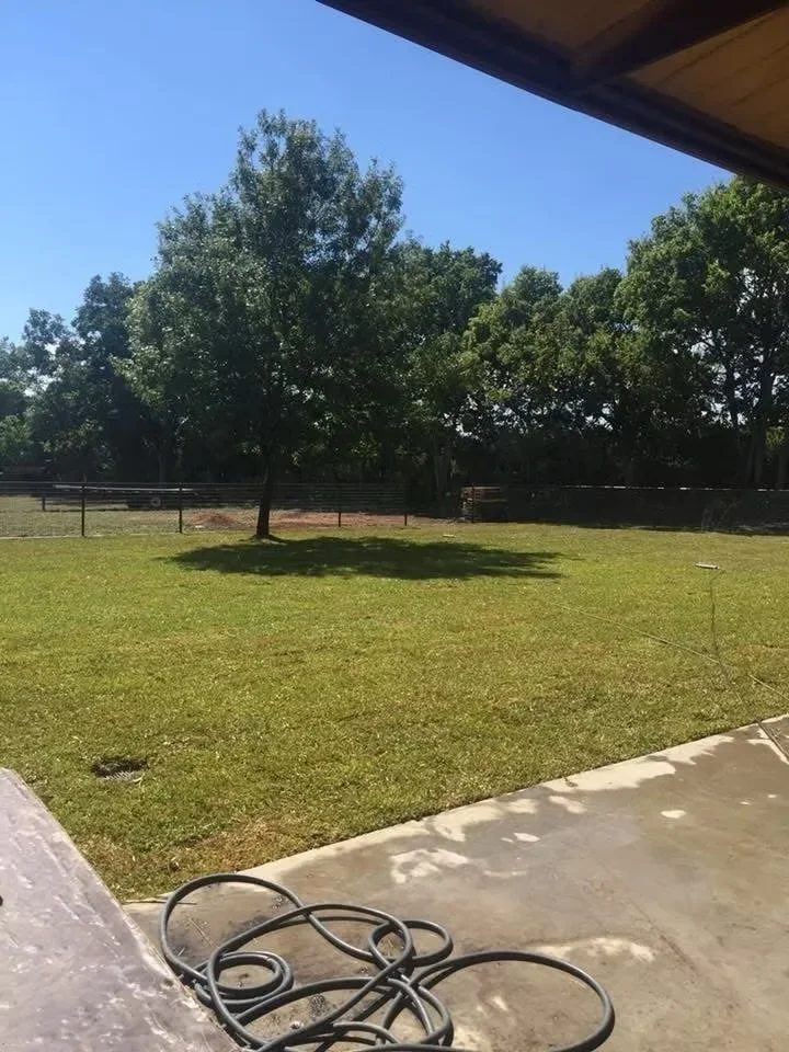 Concrete patio slab with lawn and tree landscape in background