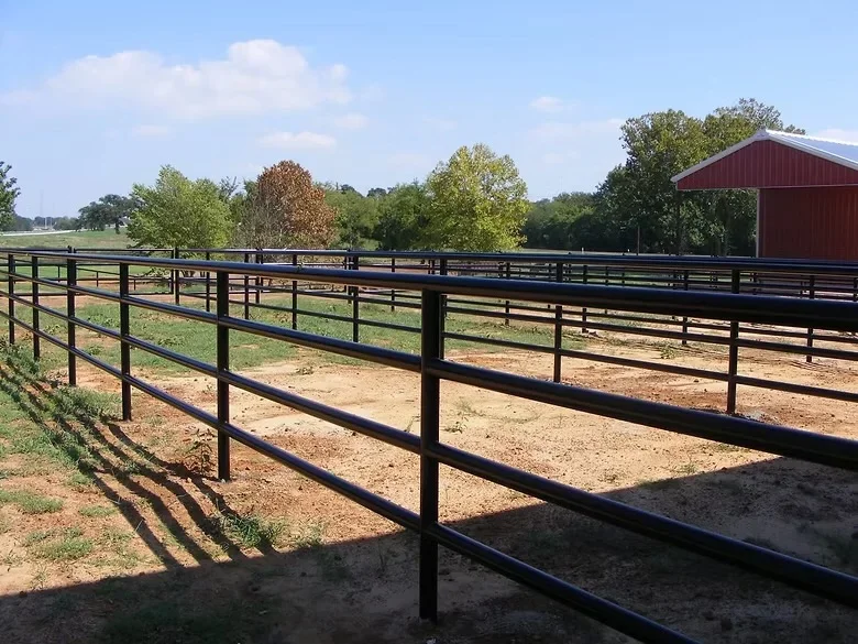 Black metal pipe fencing with horizontal rails in equestrian paddocks, concrete footings visible