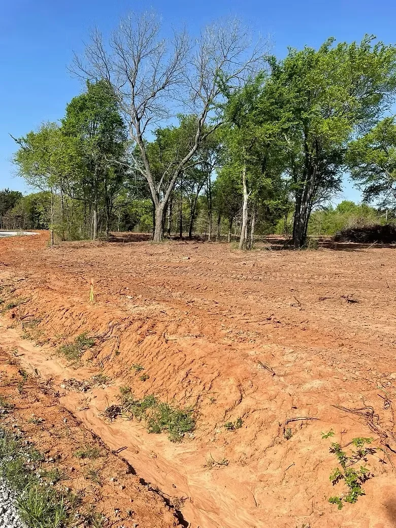 Cleared land with red clay soil, mature trees, and removed debris on wooded property